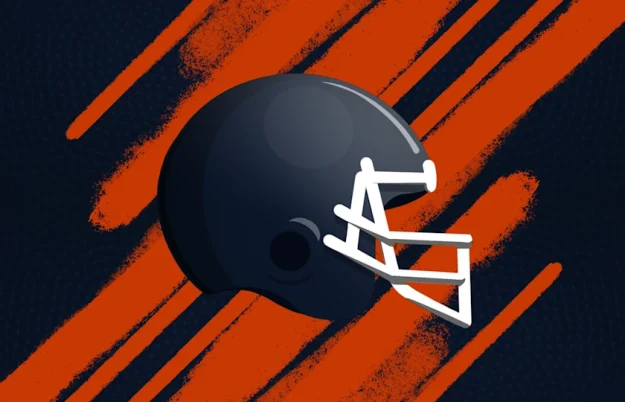 bears